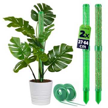 Palik do mchu Vayrac 29 x 4 cm zielony 2 szt.