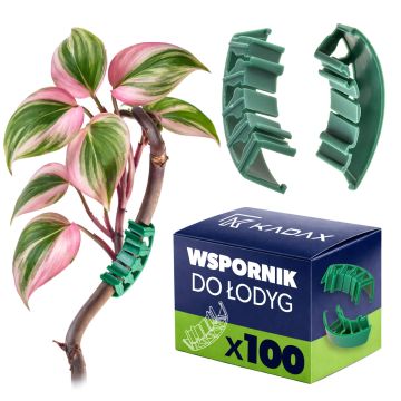 Łuczki do łodyg roślin Sireuil 40 x 6 mm zielone 100 szt.