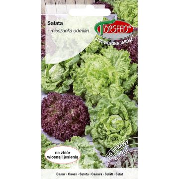 Sałata mieszanka odmian 1g