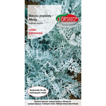 Mrozy (Starzec popielaty) - Cineraria maritima popielate 0,5g
