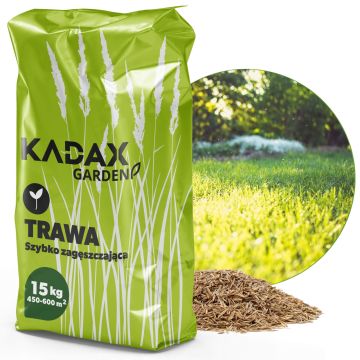 Trawa uniwersalna Riset szybko zagęszczająca 15 kg 600 m2