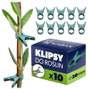 Klipsy do roślin Evaille 20 mm zielone 10 szt.
