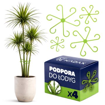 Zestaw podpór do łodyg Lacoux 6-16 cm zielony 4 szt.
