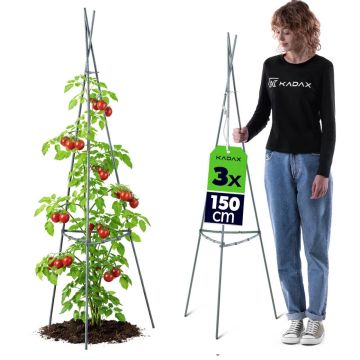 Stożkowka podpora ogrodowa Ambillou 3-elementowa 150 cm zielona 3 szt.