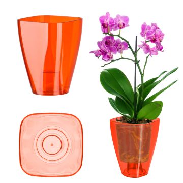 Doniczka kwadratowa Menfi 13 cm, czerwona