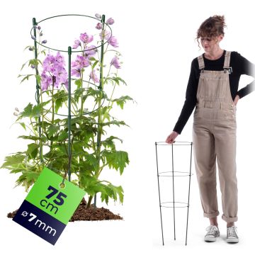 Podpora pierścieniowa do roślin Bodiel 75 cm 1 szt.