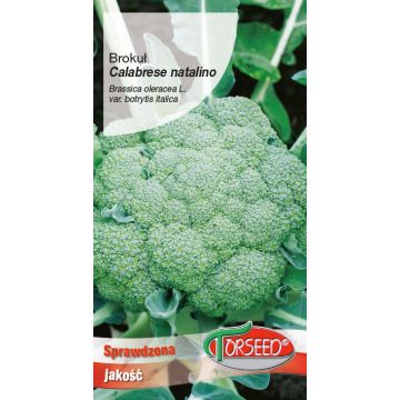 Brokuł włoski Calabrese natalino 2g