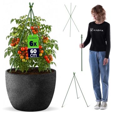 Stożkowa podpora ogrodowa Chevre 3-elementowa 60 cm 6 szt.