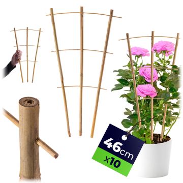 Drabinka bambusowa do roślin Taio 46 cm 10 szt.