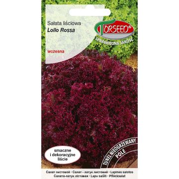 Sałata liściowa (do uprawy w polu) Lollo Rossa 0,5g