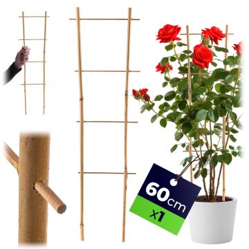 Drabinka bambusowa do roślin 60 cm 1 szt.