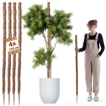 Tyczka do roślin kokosowa Cande 150 cm podpora doniczkowa 4 szt.