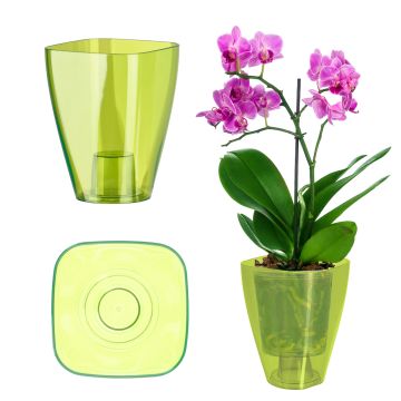 Doniczka kwadratowa Menfi 13 cm, zielona
