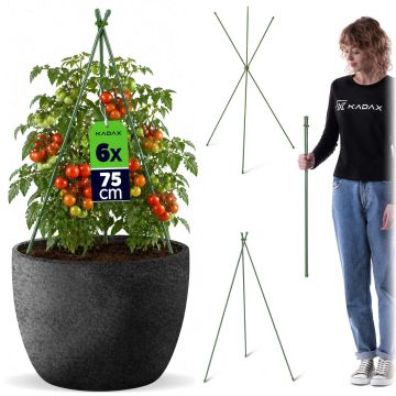 Stożkowa podpora ogrodowa Chevre 3-elementowa 75 cm 6 szt.