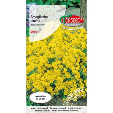 Smagliczka skalna - Alyssum saxatile żółta 0,5g