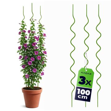 Tyczka spiralna do roślin Grimone 100 cm zielona 3 szt.