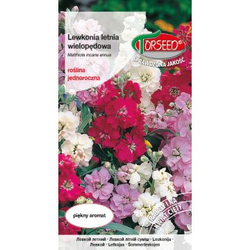 Lewkonia wielopędowa - Matthiola incana annua mieszanka 1g