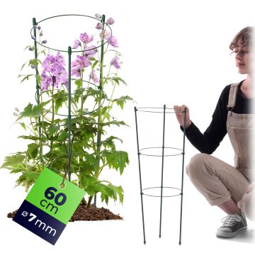 Podpora pierścieniowa do roślin Bodiel 60 cm 1 szt.