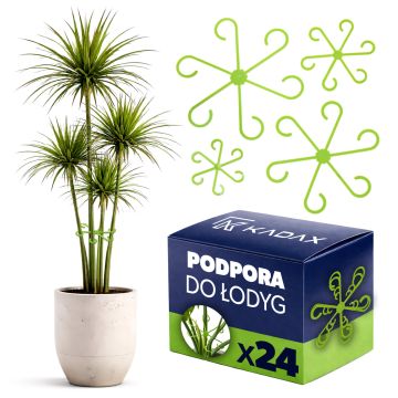 Zestaw podpór do łodyg Lacoux 6-16 cm zielony 24 szt.