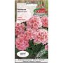Pelargonia - Pelargonium łososiowa F2 10g