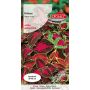 Koleus - Coleus blumei mieszanka 0,1g