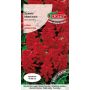 Szałwia błyszcząca - Salvia splendens odcienie czerwieni 0,5g
