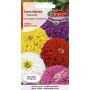 Cynia wytworna daliowa - Zinnia elegans dahliaeflora mieszanka 1g