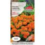 Aksamitka rozpierzchła (niska) - Tagetes patula nana fl.pl. pomarańczowa 1g