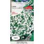 Lobelia (Stroiczka) - Lobelia er. Comp biała 0,1g