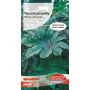 Rącznik - Ricinus communis zielonolistny 6g