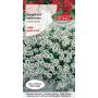 Smagliczka nadmorska - Lobularia maritima biała 1g
