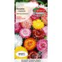 Kocanka - Helichrysum bract.-monstr. mieszanka 2g