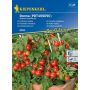 Kiepenkerl Pomidor koktajlowy DONNA