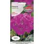 Pelargonia - Pelargonium fioletowa F2 10g