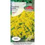 Smagliczka skalna - Alyssum saxatile żółta 0,5g