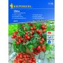 Kiepenkerl Pomidor Cherry Vilma