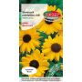 Słonecznik kwiatowy - Helianthus annuus pojedynczy niski żółty 2g