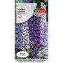 Ostróżka trwała - Delphinium cultorum mieszanka 0,5g