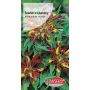 Szarłat trójbarwny - Amaranthus tricolor żółto-czerwony 0,5g