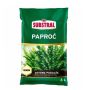 Substral Ziemia podłoże do paproci 3L