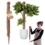 Tyczka do roślin kokosowa Cande 60 cm podpora doniczkowa 1 szt.