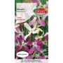 Maciejka - Matthiola bicornis różowa 3g