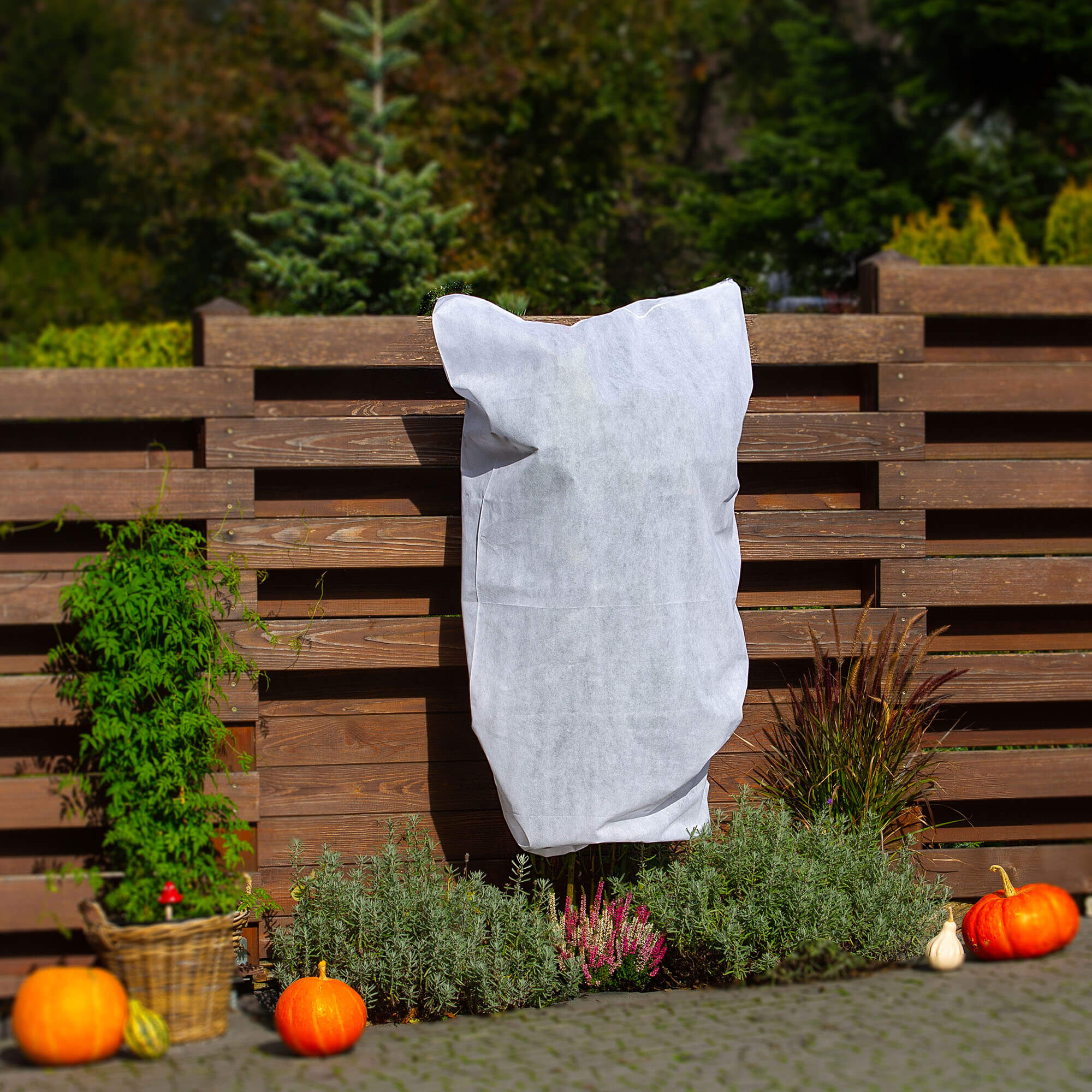 Kaptur ochronny na rośliny Vatan 1 x 1.6 m 50 g/m² biały 1 szt.