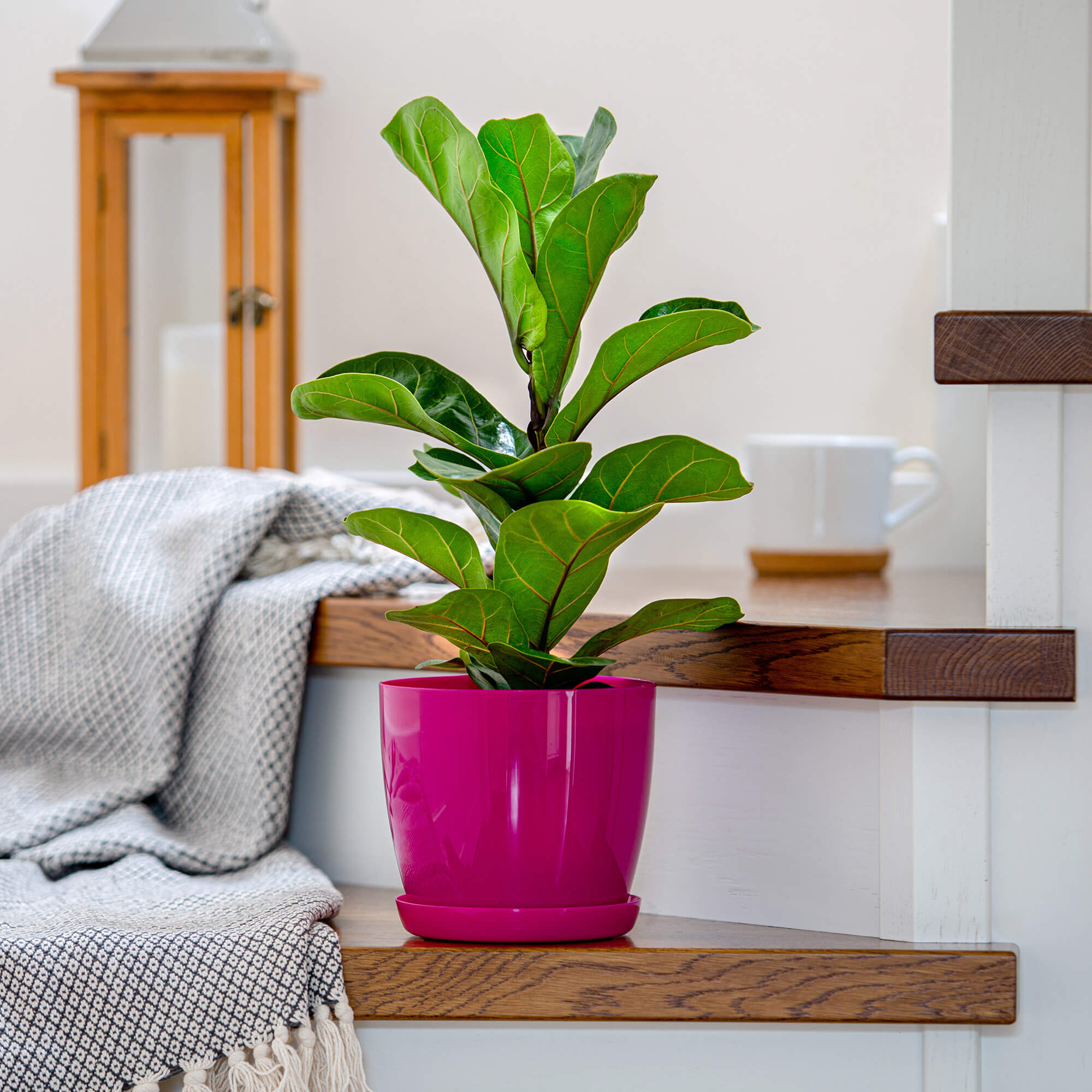 Doniczka na kwiaty z podstawką 20 cm, fuksja