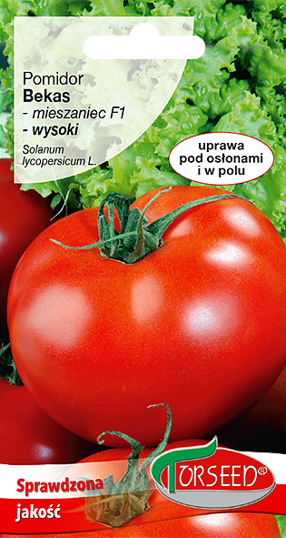 Pomidor wysoki (pod osłony i do gruntu) Bekas F1 0.1g