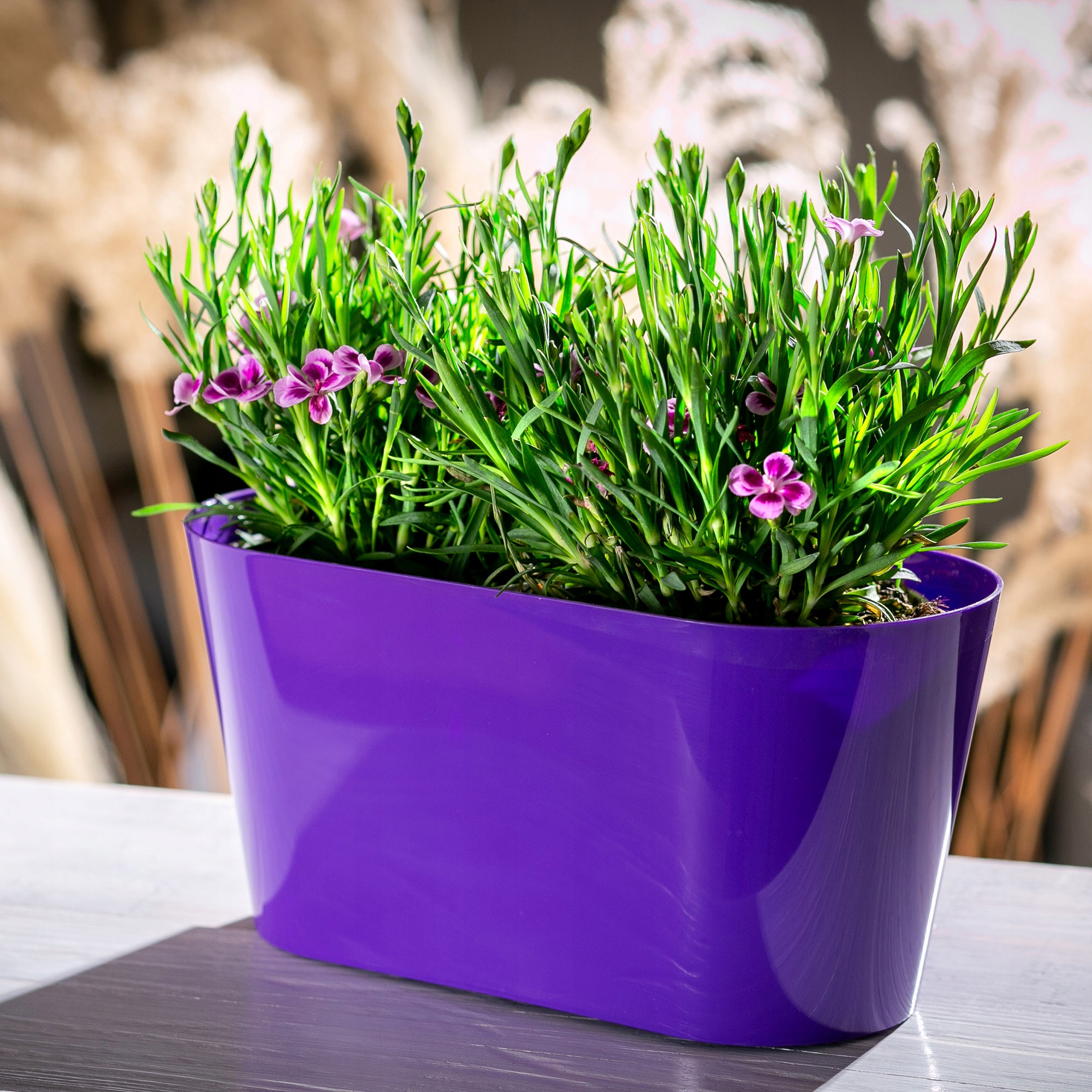 Doniczka na kwiaty owalna Pareti 27 cm, fioletowa