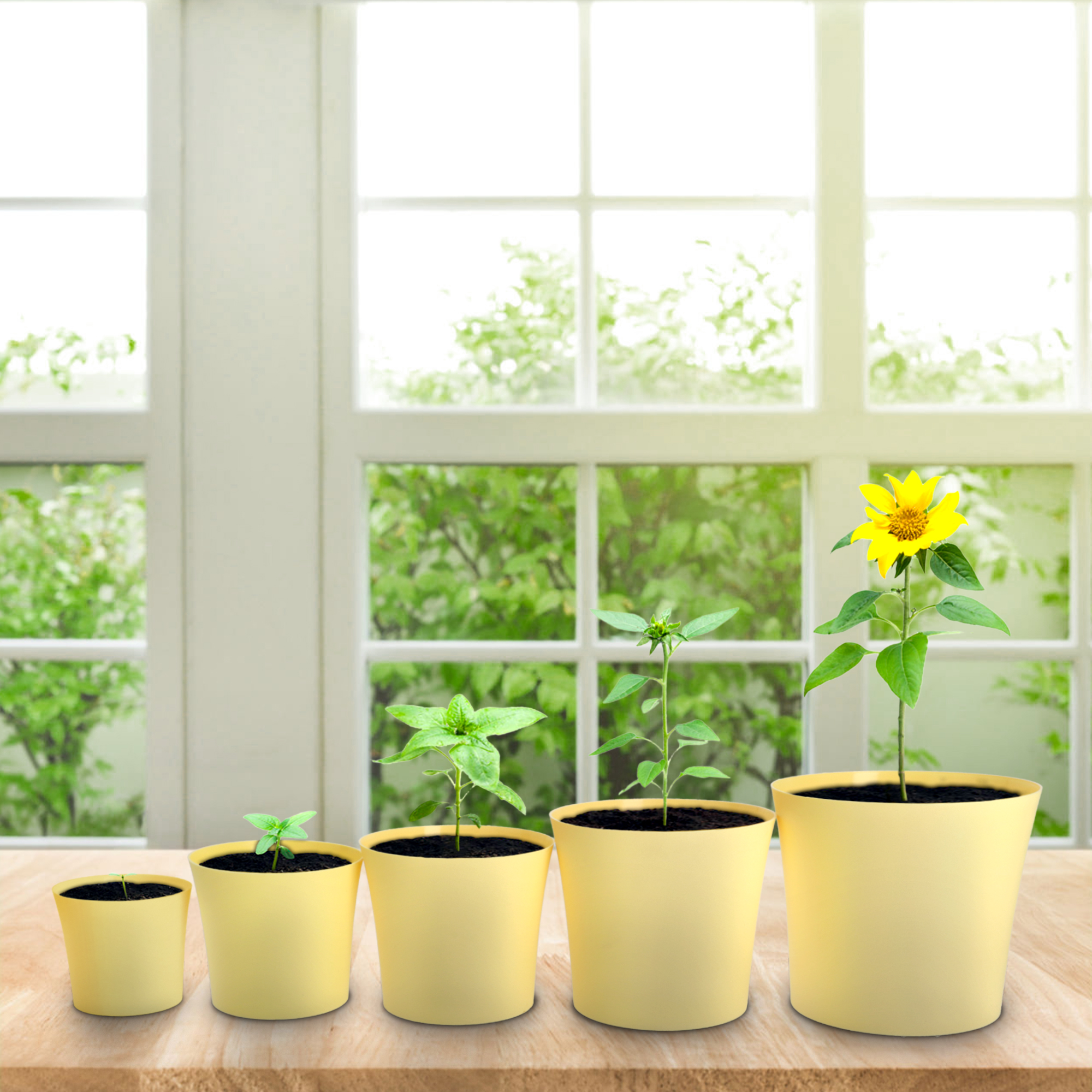 Doniczka na kwiaty Ersa 11 cm, żółta