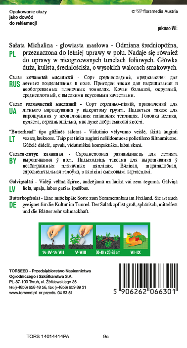 Sałata głowiasta masłowa (do uprawy w tunelach i w polu) Michalina 2g