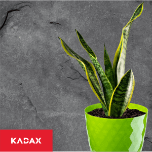 Doniczka na kwiaty z podstawką 12 cm, zielona