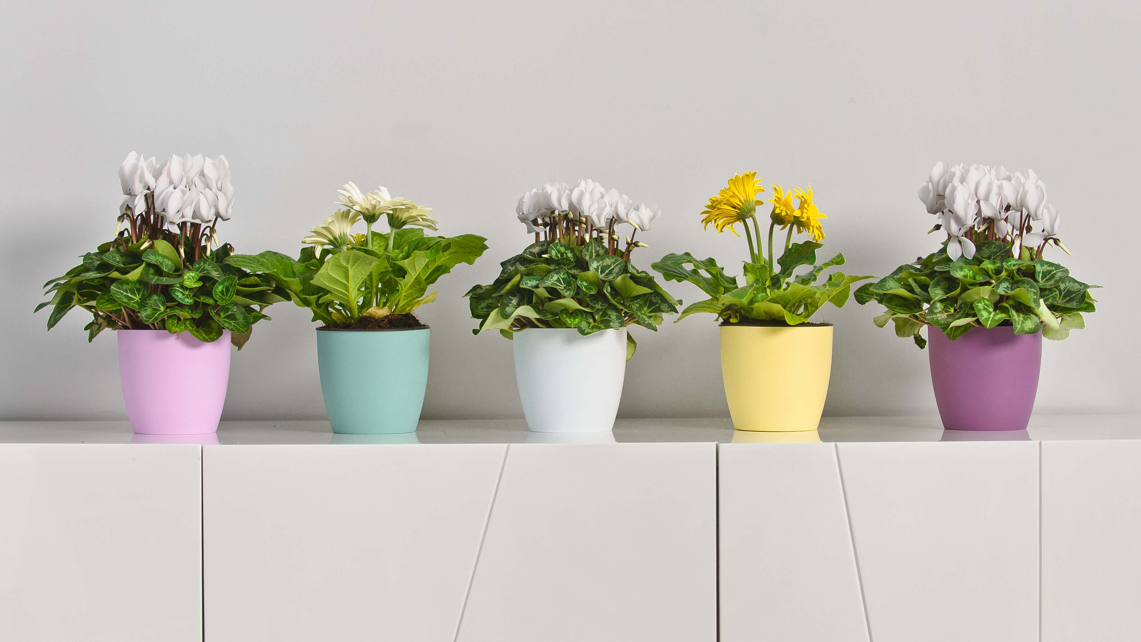 Doniczka Agen z podstawką 14 cm, matowa zielona